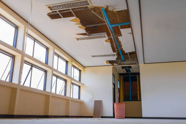 Best Water damage restoration services  in Colusa, CA