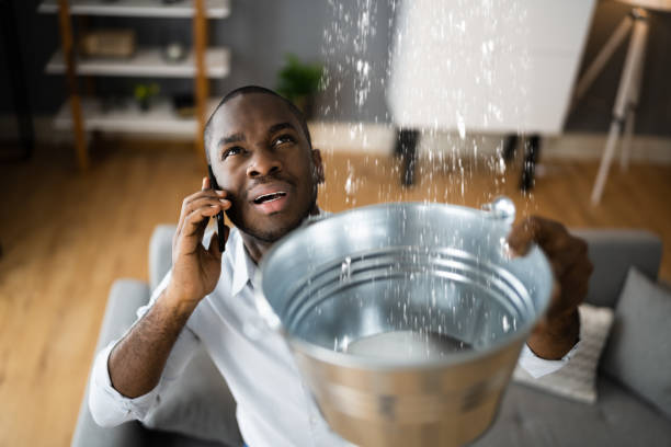 Best Water damage restoration near me  in Colusa, CA