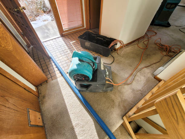 Best 24-hour water damage restoration  in Colusa, CA