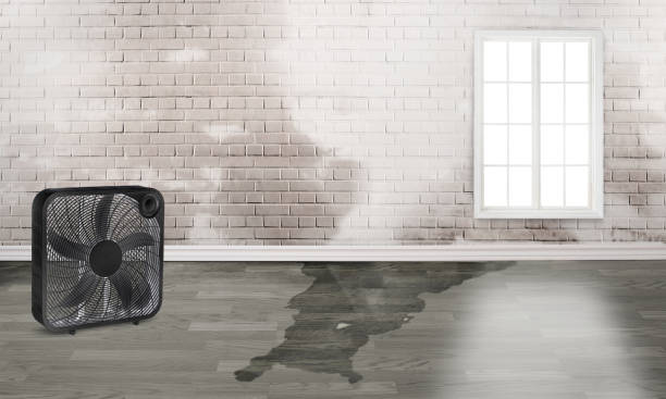 Best Water damage restoration near me  in Colusa, CA