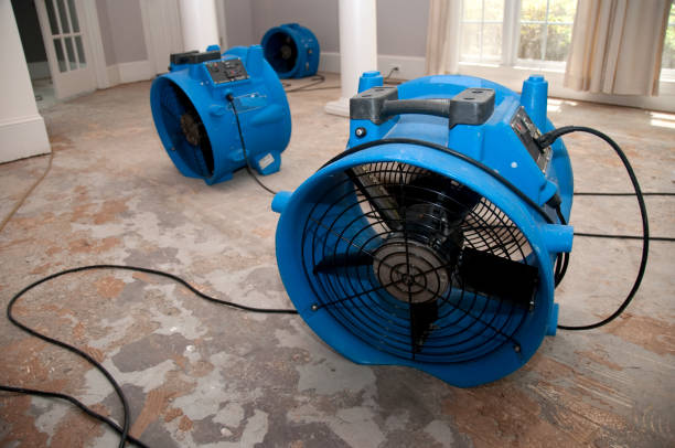 Best Mold removal after water damage  in Colusa, CA
