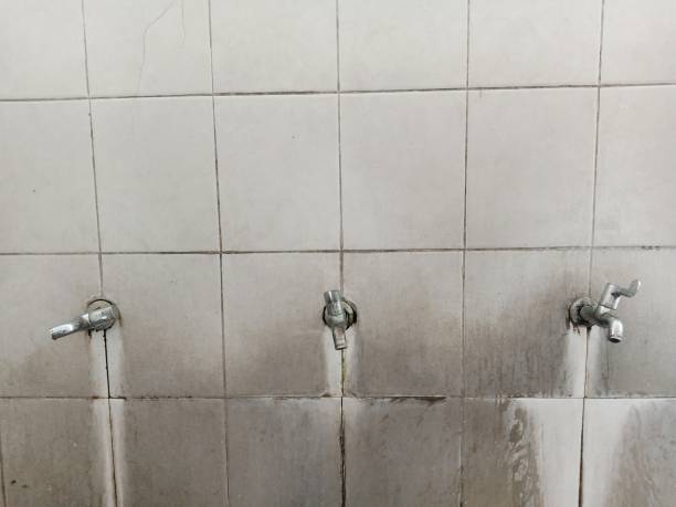Best Water damage repair service  in Colusa, CA