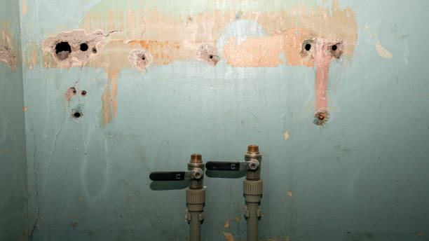 Best Residential water damage restoration  in Colusa, CA