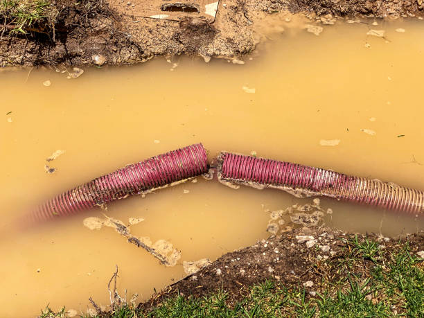 Best Water damage restoration company  in Colusa, CA