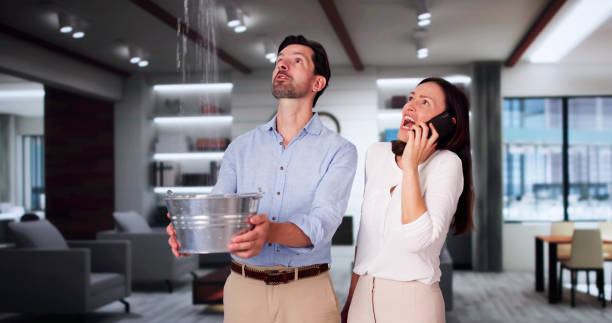 Best Water damage mitigation services  in Colusa, CA