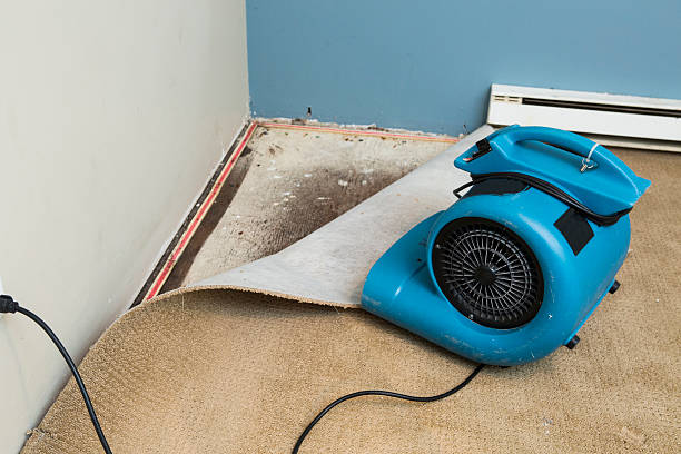 Best Flooded house restoration  in Colusa, CA